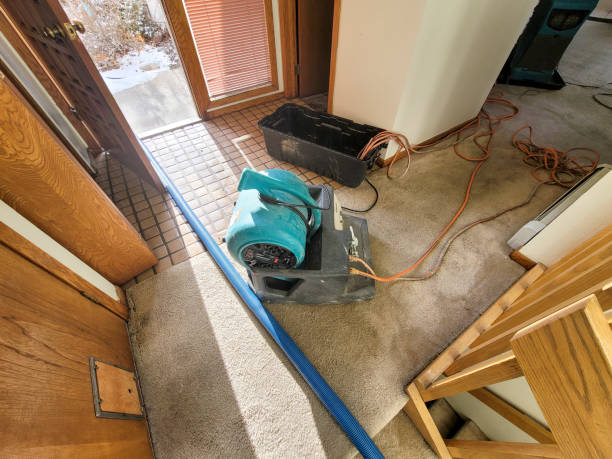 Reliable Allison, IA Water damage restoration Solutions